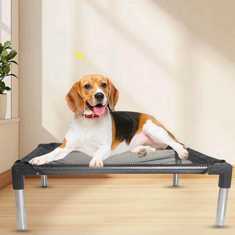 냉각 강화 개 침대 - 개, 고양이용으로 높이 조절,  - Outdoor Daybed Sofa 리뷰 및 가격